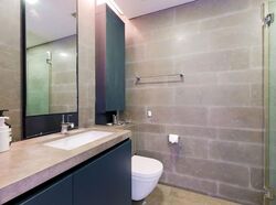 Skysuites@Anson (D2), Apartment #588879061